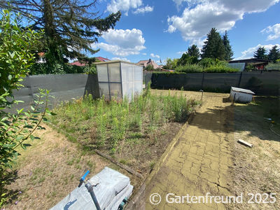 Garten Impression 3